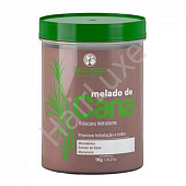 Ботокс для волос NATUREZA Melado de Cana 1000 мл