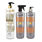 Набор для лечения и восстановления SoupleLiss Defender 100/100/100 мл (разлив)