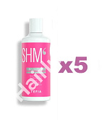 Розовый шампунь TEFIA MYBLOND Rose Shampoo for Blonde Hair 300 мл 5 шт