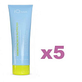 Шампунь IQ Hair Увлажнение и питание 250 мл 5 шт