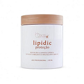 Липидная подложка BB Gloss Lipidic 100 мл (разлив)