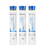 Набор для холодного восстановления MAXWELL Cold Recovery 500/500/500 мл