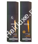 Набор H-TOKYO PLAST HAIR BIXYPLASTIA (1 шаг+2 шаг) 500/1000 мл