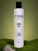 Безсульфатный шампунь восстановление ETTRIAN «CELEBRIAN» 3 штуки по 250 мл