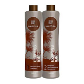 Набор Malecula Express Ionic Fiberplastia 250/250 мл (разлив)