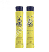 Набор ZOOM OrganoPlastia Blond 500/500 мл