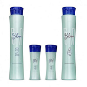 Холодное восстановление Happy Hair Bloom 250/100/250 мл (разлив)