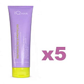 Шампунь IQ Hair Реконструкция и защита 250 мл 5 шт