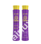 Набор органопластики ZOOM OrganoPlastia 250/250 мл (разлив)