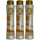 Набор Malecula Express Ionic Fiberplastia, 500/500/500 мл