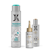 Комплект «Повышение эластичности волос» JKeratin S+S с шампунем Treatment 480/75/150 мл