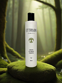 Безсульфатный шампунь восстановление ETTRIAN «CELEBRIAN» 250 мл