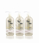 Набор для реконструкции во время химических процессов Theion Evolution 100/100/100 мл (разлив)