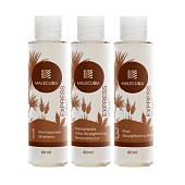 Набор для аминокислотного выпрямления EXPRESS IONIC NANOPLASTIA 60/60/60 мл